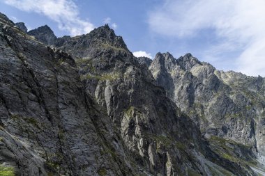 Yazın görkemli, vahşi ve ulaşılmaz dağ zirveleri.