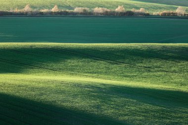 Dalgalar hills, yeşil alanlar, minimalist yatay. Soyut doğa arka plan. South Moravia, Çek Cumhuriyeti