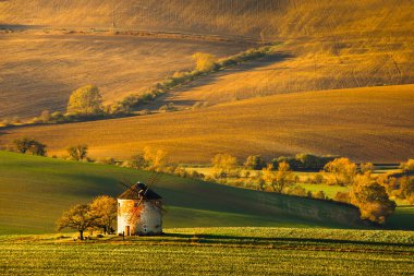 Dalgalar hills, yatay, değirmen ile sonbahar alanlar. South Moravia, Çek Cumhuriyeti