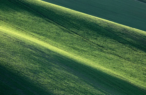 Paysage Minimaliste Avec Des Vagues Collines Champs Verts Nature Abstraite — Photo