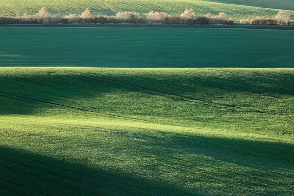 緑のフィールドを持つミニマルな風景 自然の背景を抽象化します チェコ南モラヴィア州 — ストック写真