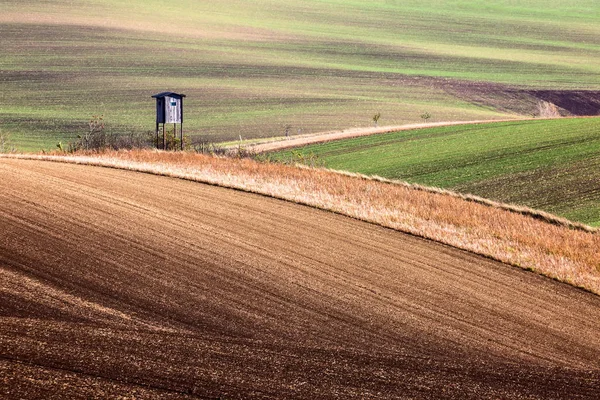 Minimalistic Landscape Waves Hills Green Brown Fields Abstract Nature Background — Stock Photo, Image