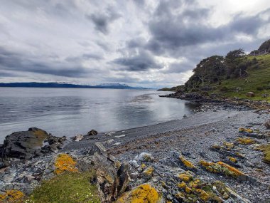 Göl kıyısında, bulutlu bir kumsal.