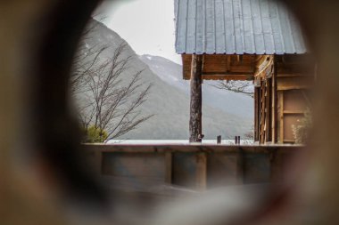 Ormandaki terk edilmiş yerlerin delikleri