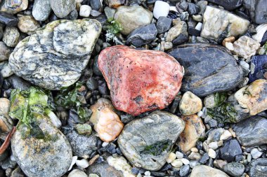 Lahana taşları farklı şekil ve boyutlarda.