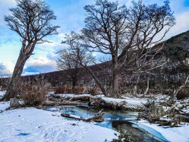 Kış manzarası donmuş nehir ağaçları ve doğa
