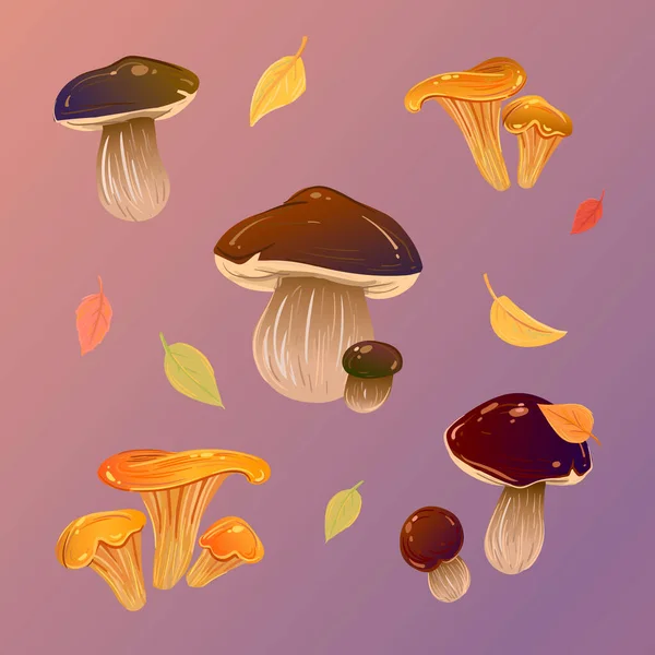 Ağ. Şablon mantarları, sonbahar yaprakları. Yenilebilir mantarlar. Kahverengi şapkalı mantarlar. Cantharellus cibarius. Boletus Edulis. Boletus. İmleria badia.