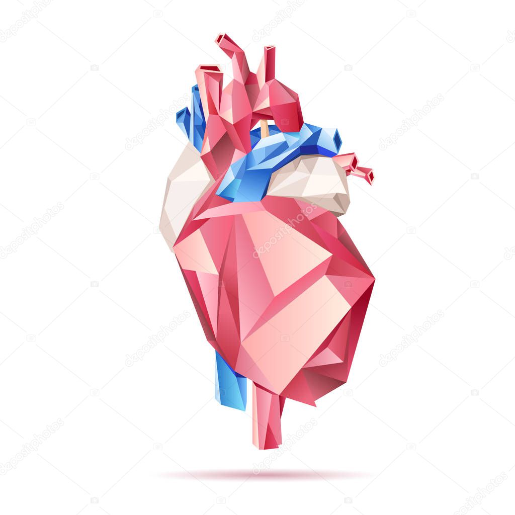 Low poly style isolated anatomical heart in red, blue and white colors on the white background.  Vector illustration.