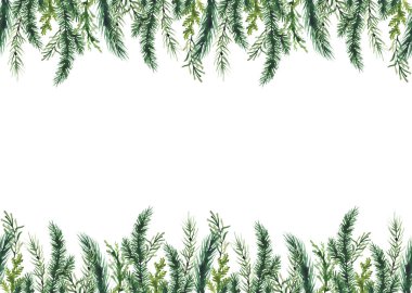 Noel suluboya kusursuz sınır çerçevesi. Yeşil köknar ağacı dalları, thuja, ardıç, ladin dalları. Evergreen klip sanatı. Yeni yıl el çizimi. Sanatsal şablon tasarımı.