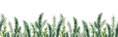 Noel suluboya kusursuz sınır çerçevesi. Yeşil köknar ağacı dalları, thuja, ardıç, ladin dalları. Evergreen klip sanatı. Yeni yıl el çizimi. Sanatsal şablon tasarımı.
