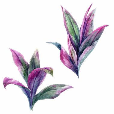 tropik yapraklar vektör kümesi