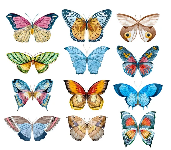 Watercolor butterfly set — Stock Photo, Image