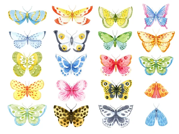 Aquarell Schmetterling Set — Stockfoto