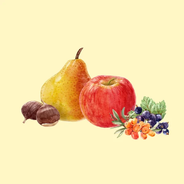 Watercolor fruit vector composition — Stock Vector