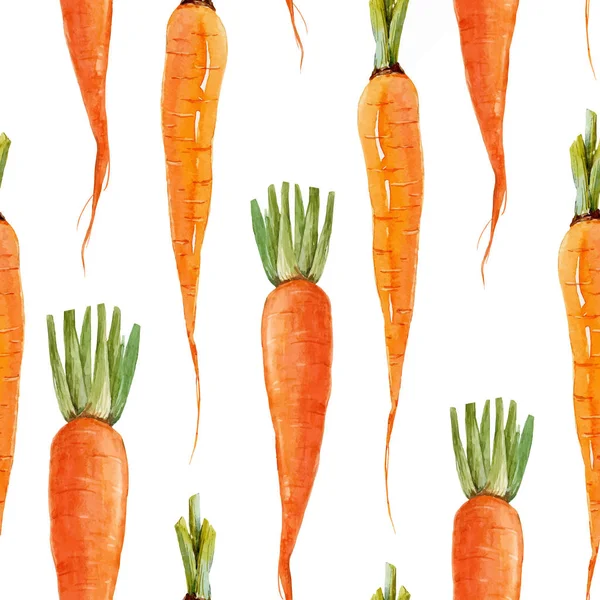 Modèle vectoriel de carotte aquarelle — Image vectorielle