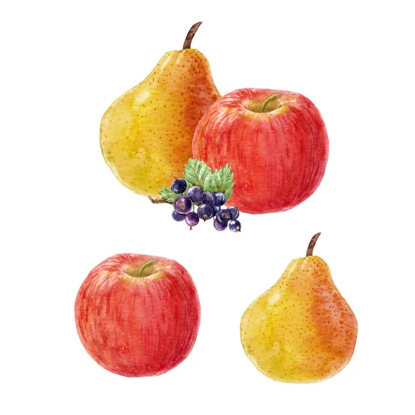 Watercolor fruit composition — Stock Photo, Image