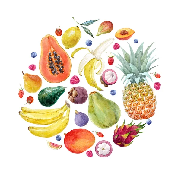 Vesiväri eksoottisia hedelmiä koostumus — kuvapankkivalokuva