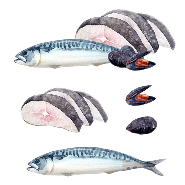 水彩画海食品セット — ストック写真