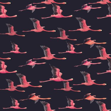 Suluboya flamingo desen