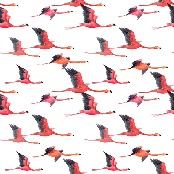 Aquarell Flamingo Muster — Stockfoto