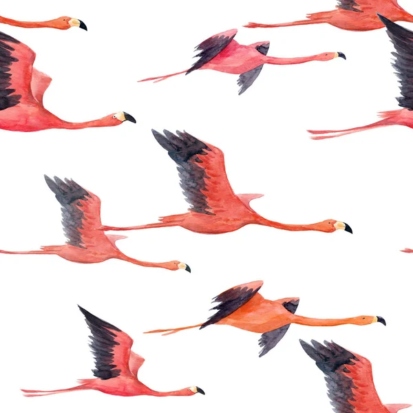 Aquarell Flamingo Muster — Stockfoto