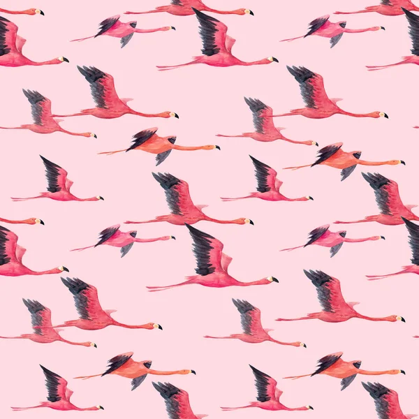 Suluboya flamingo desen