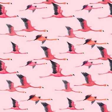 Suluboya flamingo vektör desen