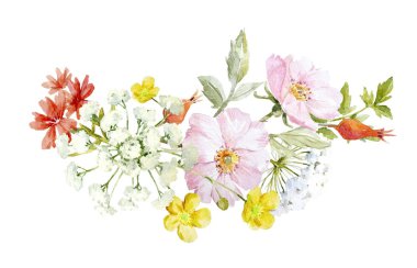 Suluboya çiçek kompozisyon