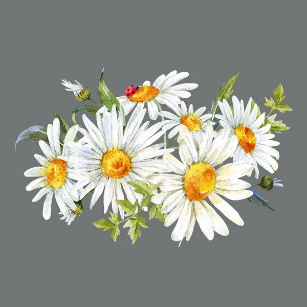 Akvarell blommig sammansättning — Stockfoto