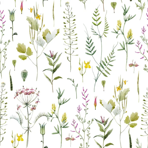 Magnifique Motif Vectoriel Sans Couture Avec Aquarelle Champs Sauvages Fleurs — Image vectorielle