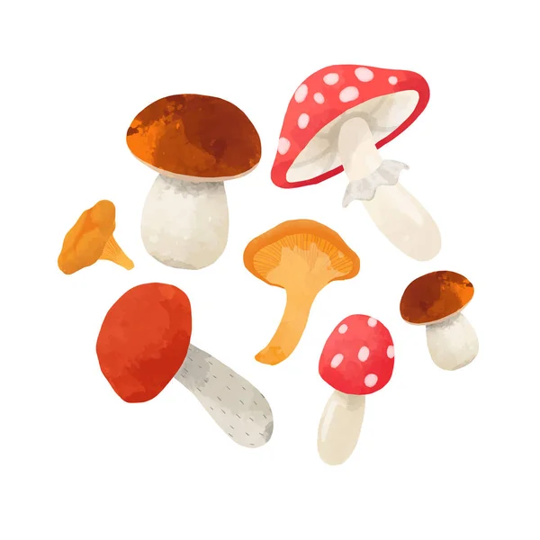 Watercolor mushroom vector composition — Stock Vector