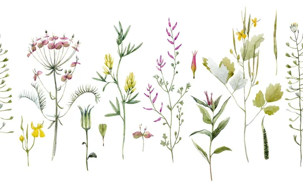 Υδατογραφία μοτίβο λουλουδιών — Φωτογραφία Αρχείου