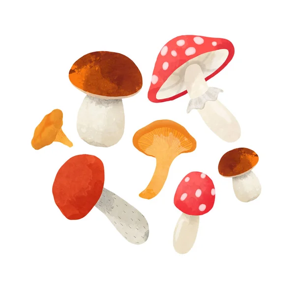 Watercolor mushroom composition — Stock Photo, Image