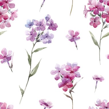 Suluboya çiçek phlox desen