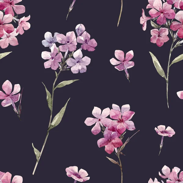 Květinový akvarel phlox vzorek — Stock fotografie