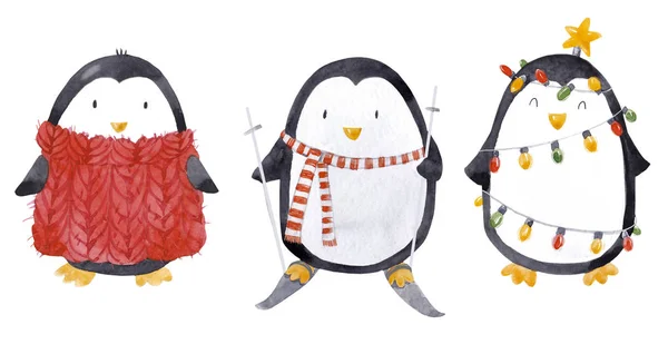 Acuarela navidad bebé pingüino conjunto — Foto de Stock