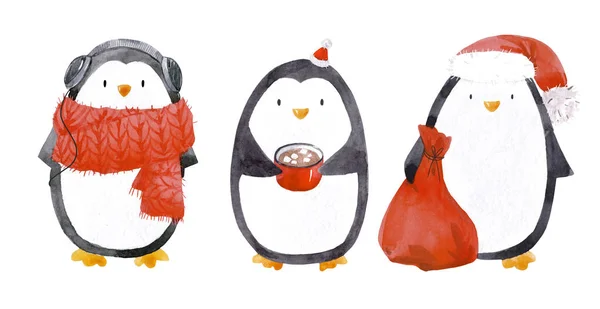 Conjunto de pinguins de bebê de Natal aquarela — Fotografia de Stock