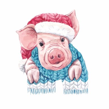Güzel vektör suluboya domuz domuz 2019 yılın eşarp simgesiyle Noel şapkalı