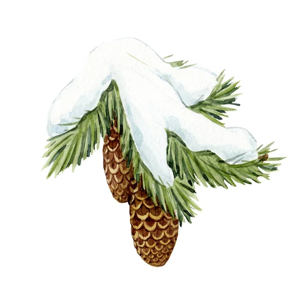 Aquarel fir tree Kerstmis illustratie — Stockfoto