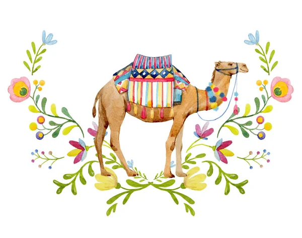Watercolor camel illustration — Stock Photo, Image