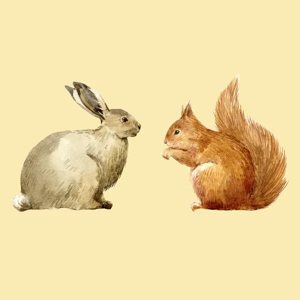 Ensemble vecteur lapin et écureuil aquarelle — Image vectorielle