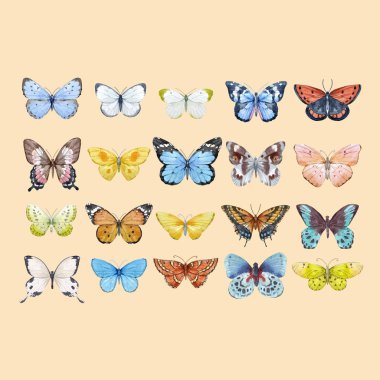 Suluboya kelebek vektör set