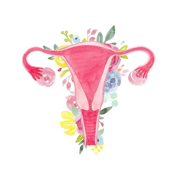 Mulher útero com flores ilustração —  Vetores de Stock