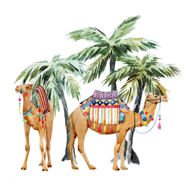水彩骆驼和棕榈组成 — 图库照片