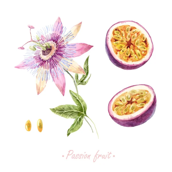 Passion fruit-os akvarell szett — Stock Fotó