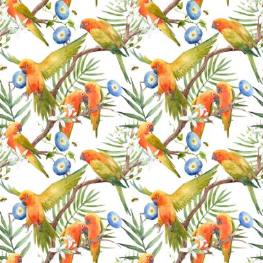 Suluboya tropik papağan vektör desen