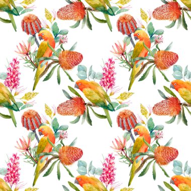 Suluboya tropik papağan vektör desen