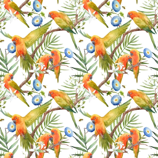 Aquarelle perroquets tropicaux motif vectoriel — Image vectorielle