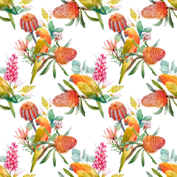 Aquarelle perroquets tropicaux motif vectoriel — Image vectorielle