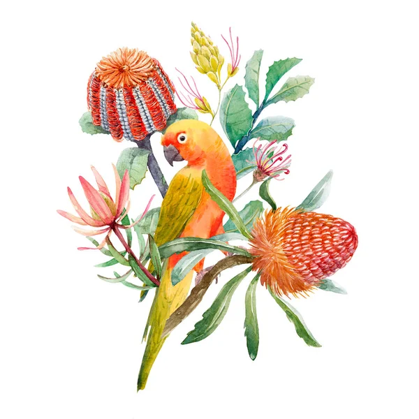 Watercolor tropical parrots composition — Stock Photo, Image